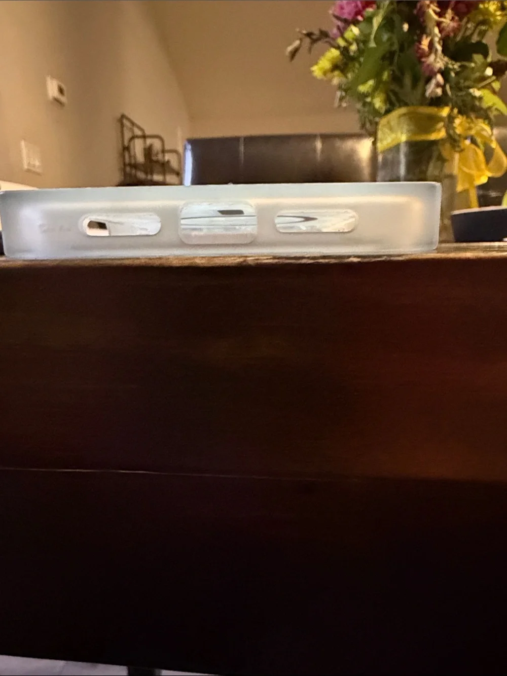 iPhone 17 Pro Max - flaunt case
